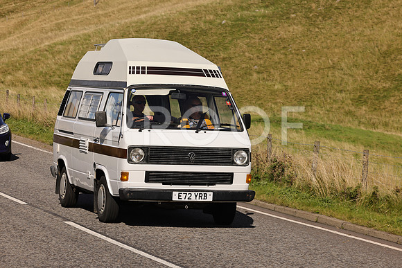Steve - 3N3A6320 (1706)