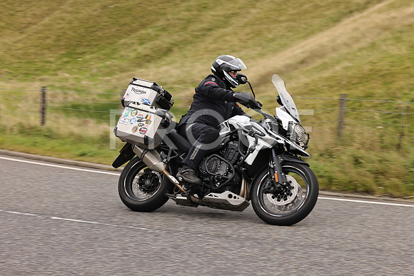 Steve - 3N3A9999 (3066)