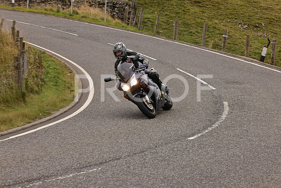 Steve - 3N3A9999 (2983)