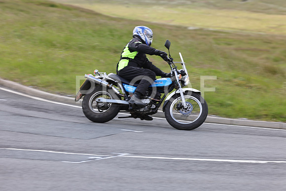 3N3A0769