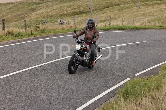 Dave - 3N3A061400 (171)