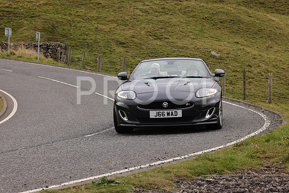 Steve - 3N3A9999 (3350)