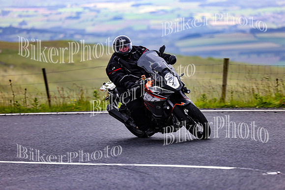 3N3A6850