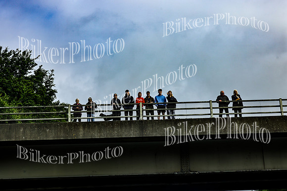 Bridges Cecilia (14)