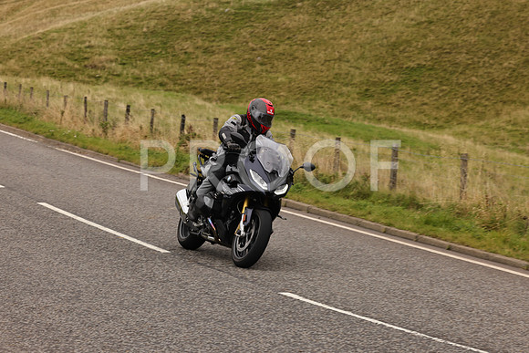 Steve - 3N3A9999 (4995)