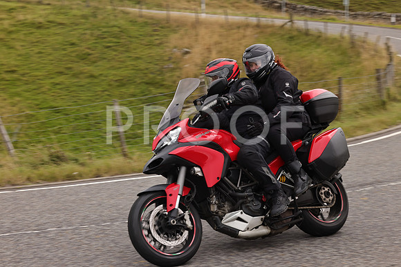Steve - 3N3A9999 (3799)