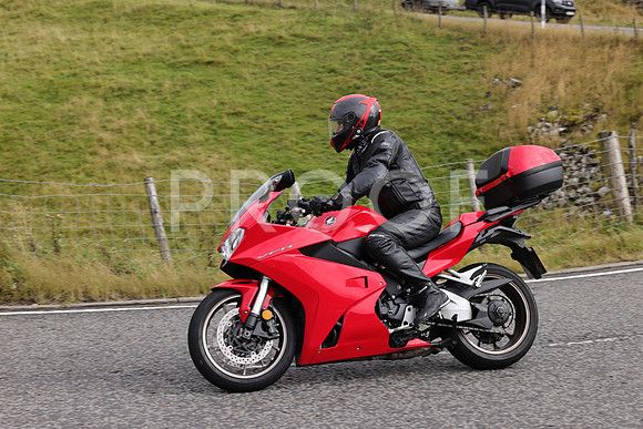 3N3A6278