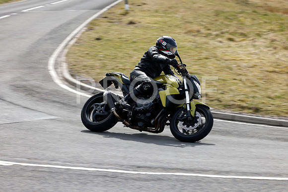 _N3A3552
