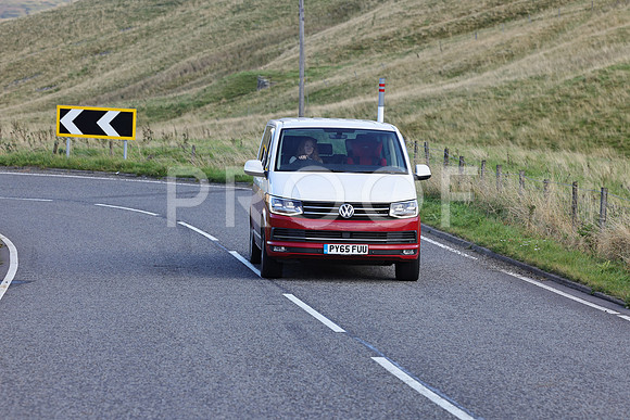 Steve - 3N3A6320 (3)