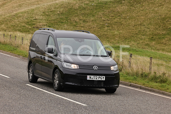 Steve - 3N3A9999 (2137)
