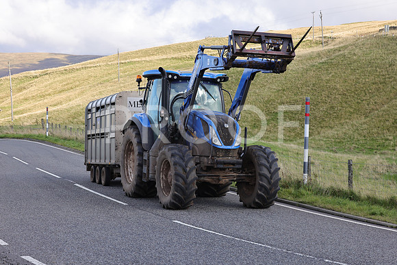 Steve - 3N3A6320 (243)