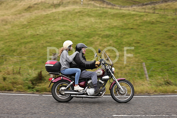 Steve - 3N3A9999 (1217)