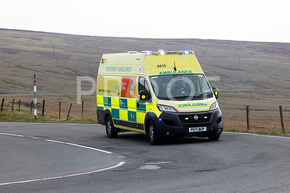 _N3A8133