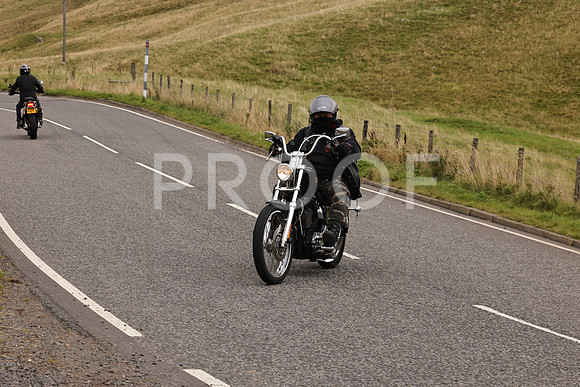 Steve - 3N3A9999 (3782)