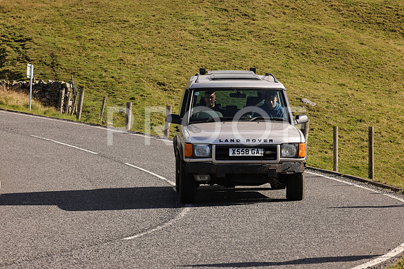 Steve - 3N3A6320 (1860)