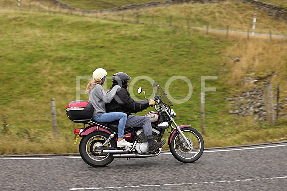 Steve - 3N3A9999 (1221)