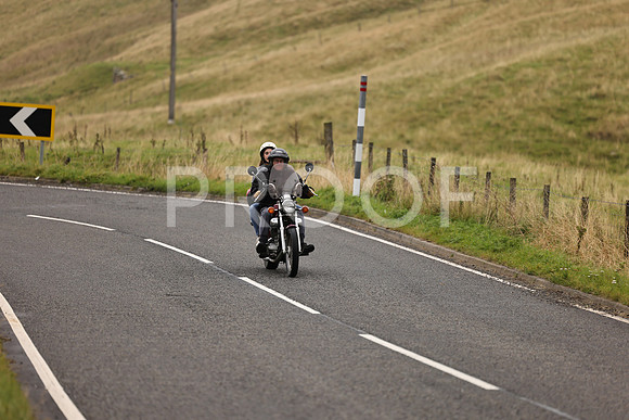 Steve - 3N3A9999 (1199)