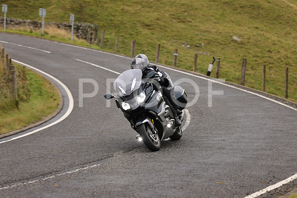 Steve - 3N3A9999 (1156)