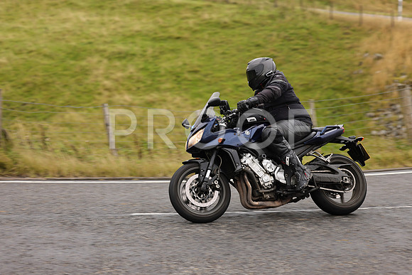 Steve - 3N3A9999 (1038)