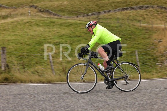 Steve - 3N3A9999 (2188)