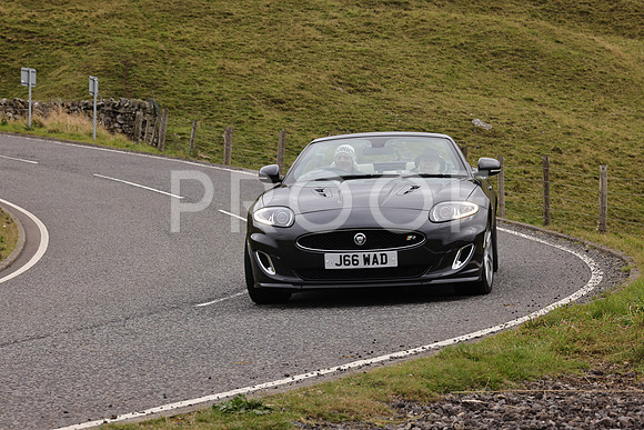 Steve - 3N3A9999 (3351)