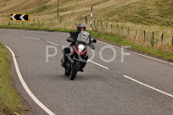 Steve - 3N3A9999 (2924)