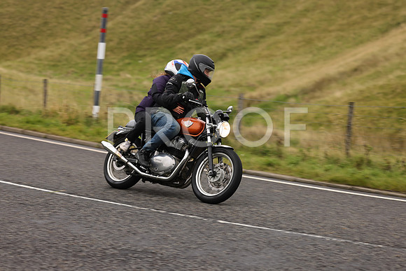 Steve - 3N3A9999 (1182)