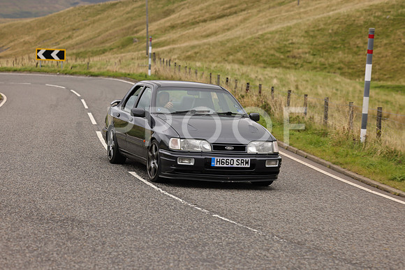 Steve - 3N3A9999 (5611)