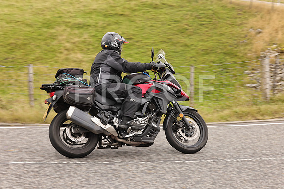 Steve - 3N3A9999 (2943)