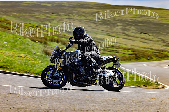 Daves (68)