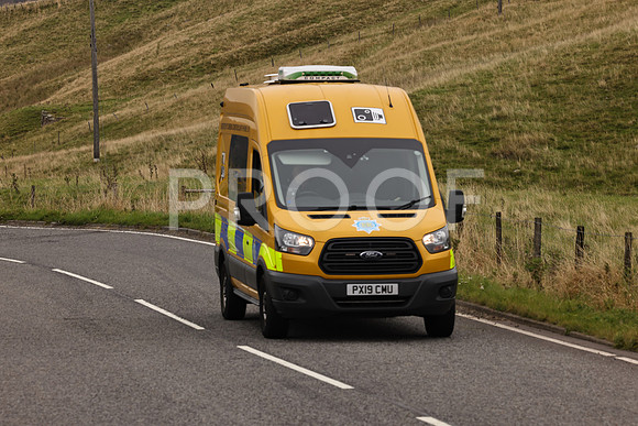 Steve - 3N3A9999 (2282)