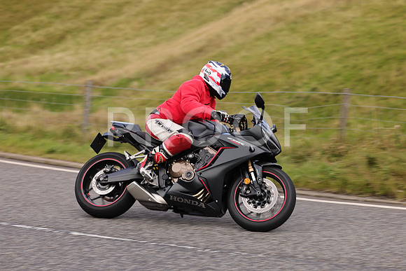 Steve - 3N3A6320 (2941)