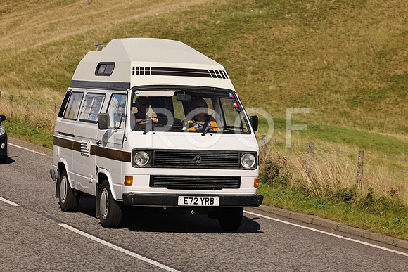 Steve - 3N3A6320 (1707)
