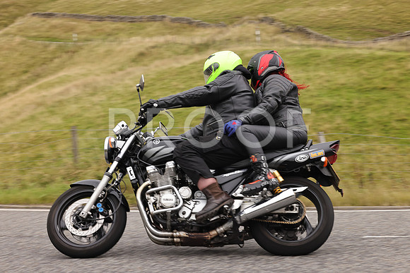 Steve - 3N3A9999 (4814)