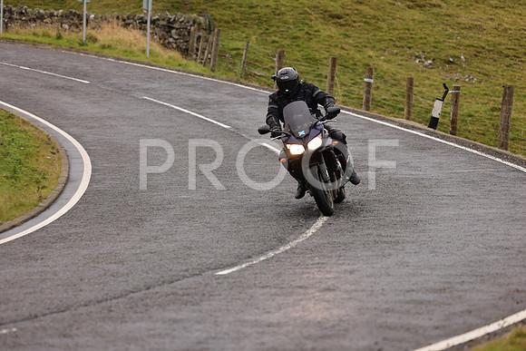 Steve - 3N3A9999 (1033)