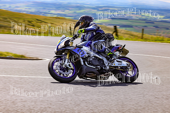 3N3A1671