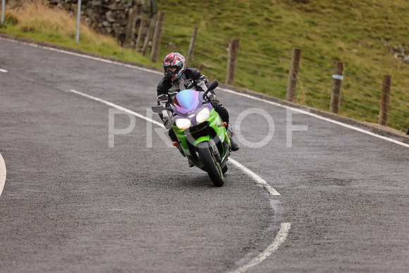 Steve - 3N3A9999 (1055)