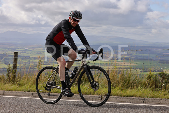 Dave - 3N3A061400 (243)
