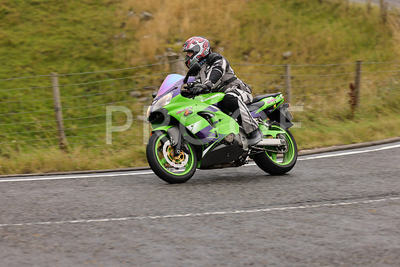 Steve - 3N3A9999 (1064)
