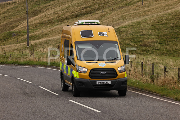 Steve - 3N3A9999 (2281)