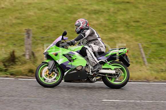 Steve - 3N3A9999 (1071)