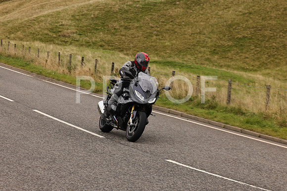 Steve - 3N3A9999 (4994)