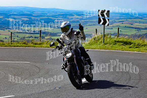 0W9A0289 (2)