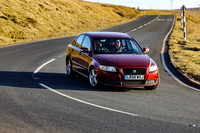 250A7930 (3)