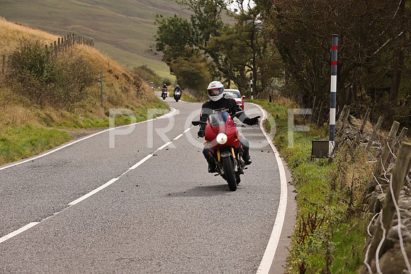Dave  (390)