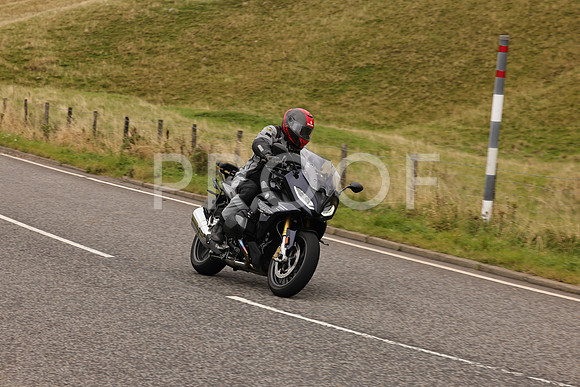 Steve - 3N3A9999 (4998)