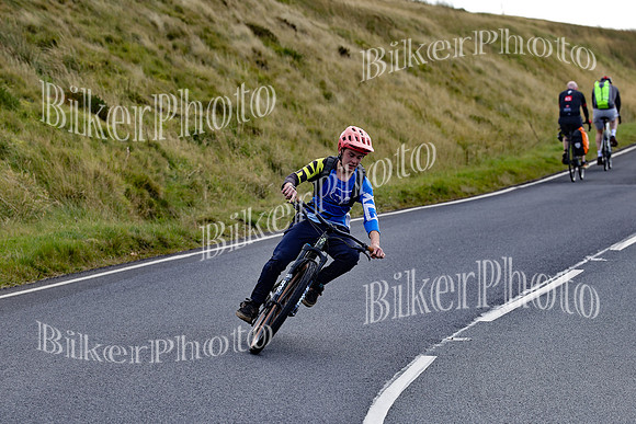 250A5445