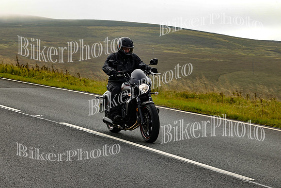 250A4293