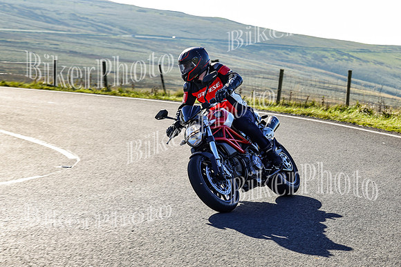 250A8427