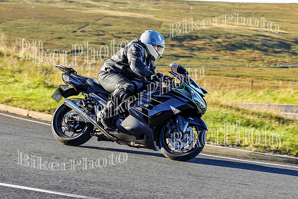 250A8458 (2)